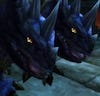 Chromaggus